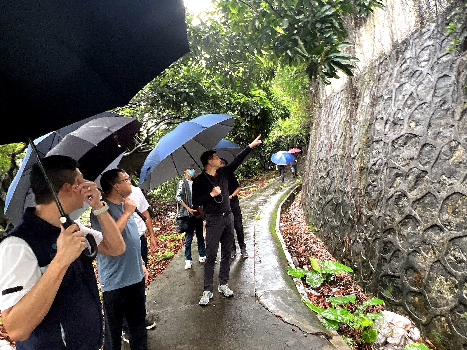 专项督查组督导检查  (1).jpg