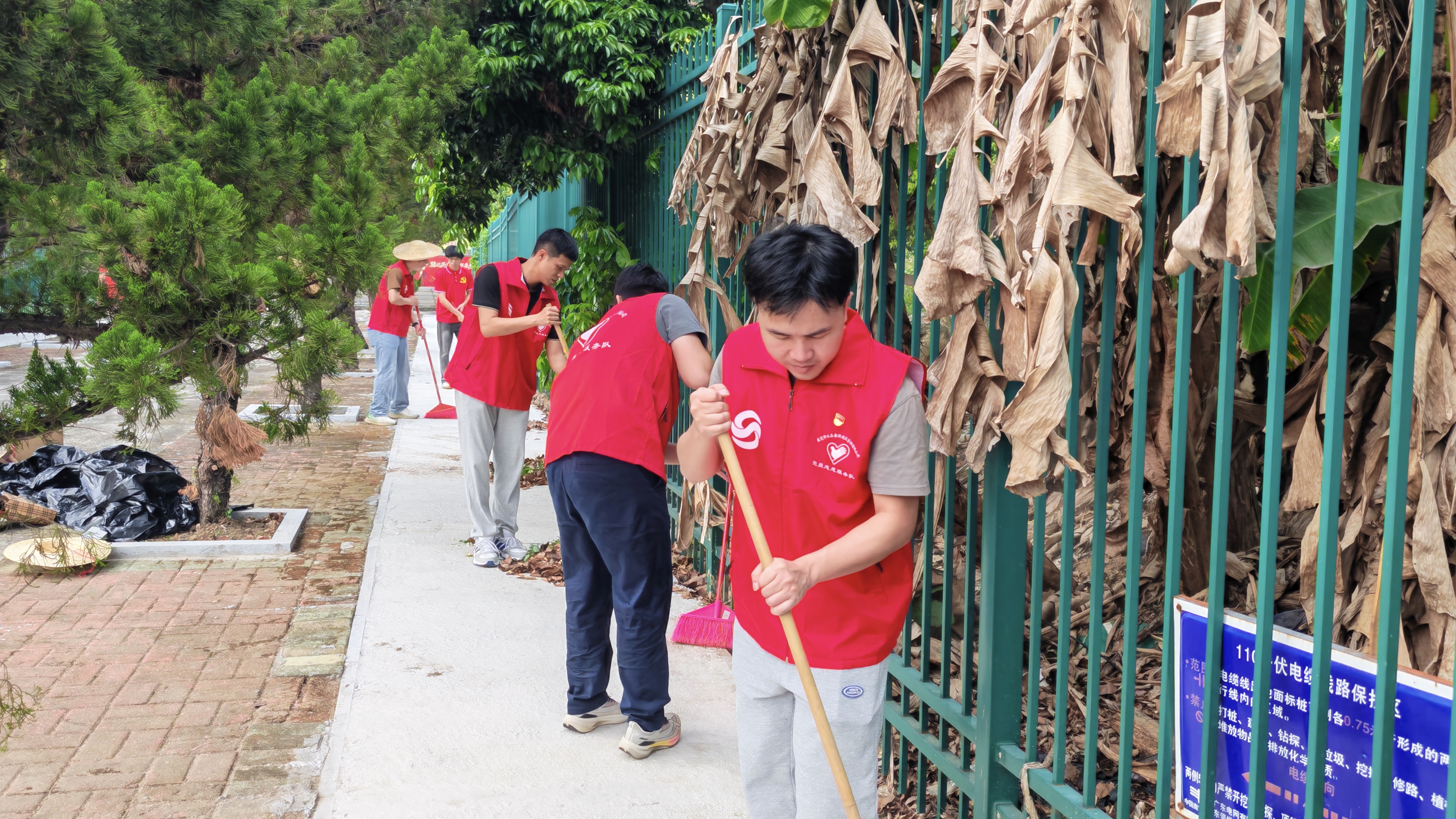 图注：党员、团员志愿者清扫落叶杂物2.jpg